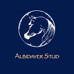 Albidayer Logo