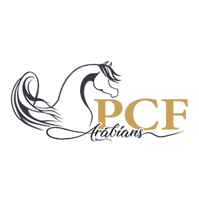 PCF