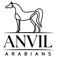 Anvil-Arabians