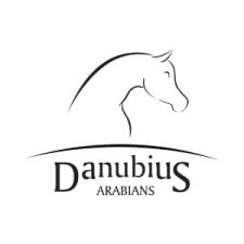 Danubius-square