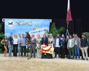 Stallion Name