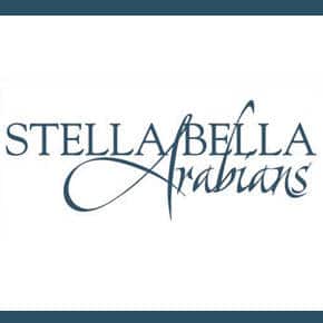 stella bella logo