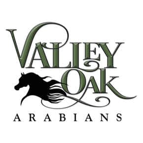 valley oak logo